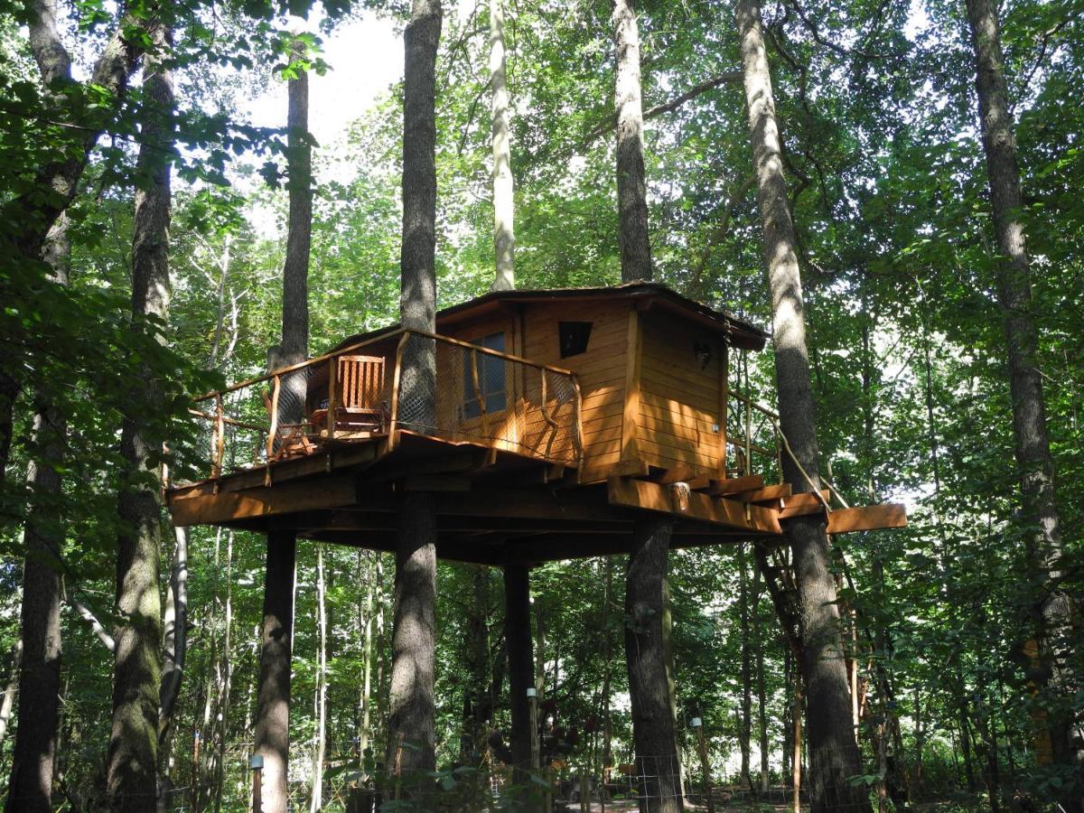 Bohutín Treehouse V Brdech 빌라 외부 사진