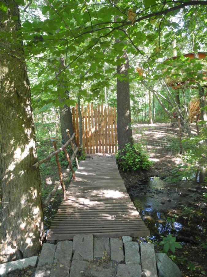 Bohutín Treehouse V Brdech 빌라 외부 사진