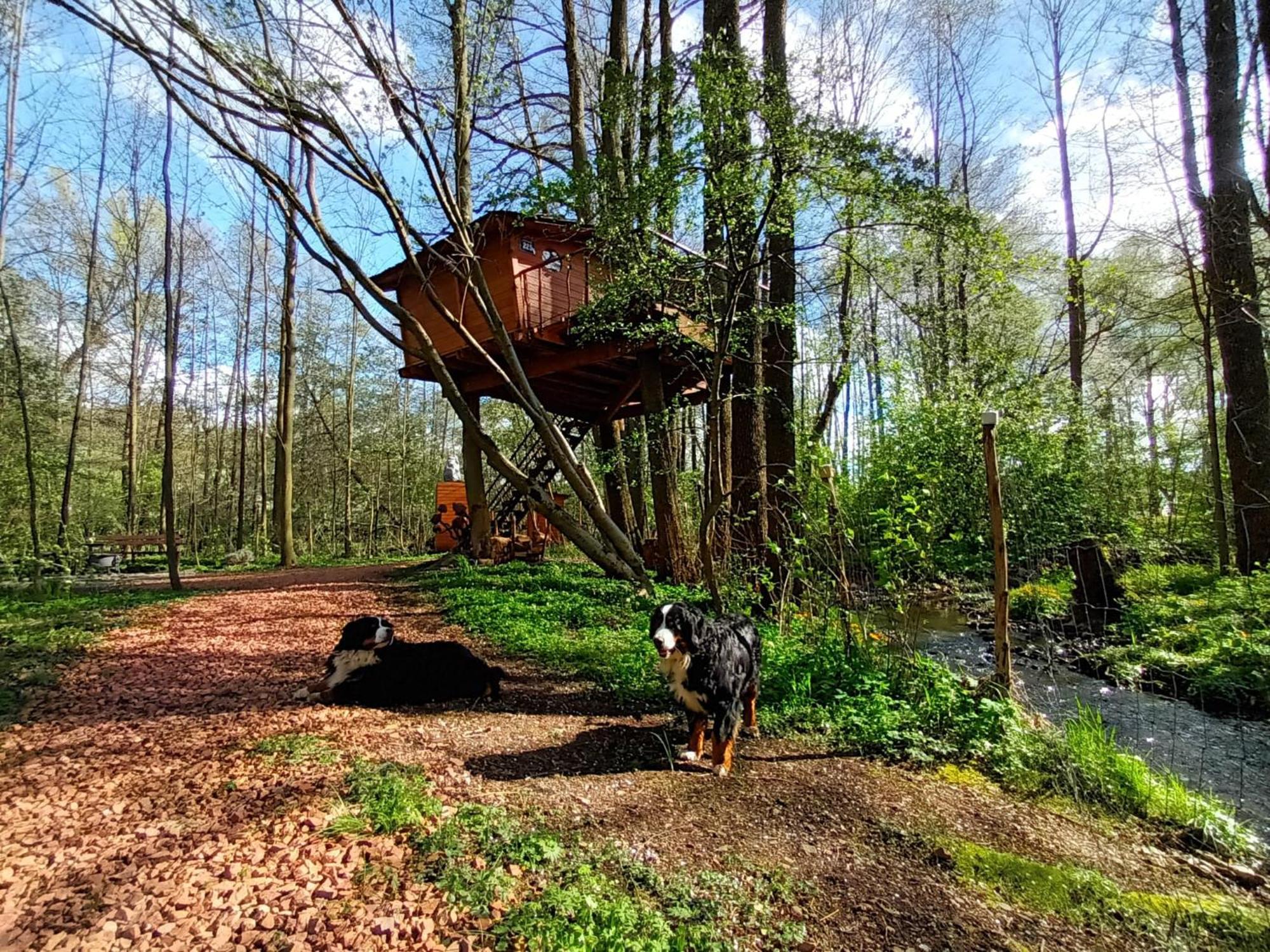 Bohutín Treehouse V Brdech 빌라 외부 사진